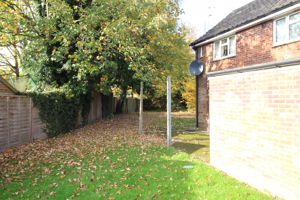 Photo 2- click for photo gallery